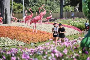 BIB: 
                            <button type="button" onclick="openModal(27794045)" class="btn btn-primary btn-sm float-right btn-popup" data-toggle="modal" data-target=".modal-high-quality">
                        <i class="fas fa-shopping-cart"></i> Add to Cart
                    </button>
                                            <button type="button" onclick="isThisMe(27794045, true)" class="btn btn-success btn-sm float-right btn-popup btn-isme hidden" data-toggle="tooltip" data-placement="bottom" title="นี่คือรูปของคุณใช่ไหม คลิกที่นี่เพื่อเอาเข้าอัลบั้ม">
                        <i class="fas fa-plus"></i> Add to album
                    </button>
                    <button type="button" onclick="isThisMe(27794045, false)" class="btn btn-warning btn-sm float-right btn-popup btn-isnotme hidden">
                        <i class="fas fa-ban"></i> Remove from album
                    </button>